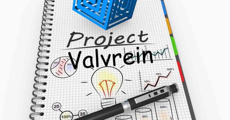 Project Valvrein