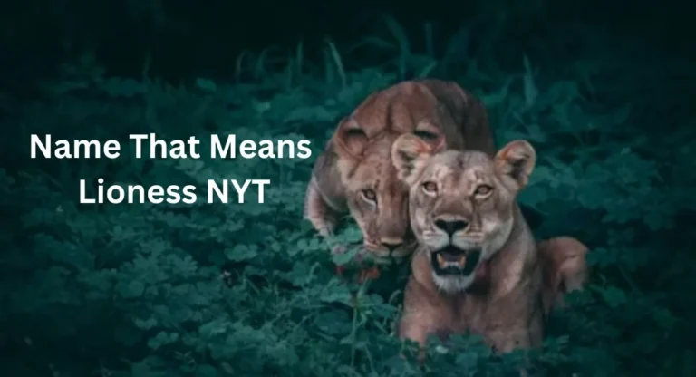 Name That Means Lioness NYT